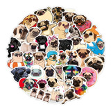 Pug 50 Calcomanias Stickers Perros De Pvc Vs Agua Animales