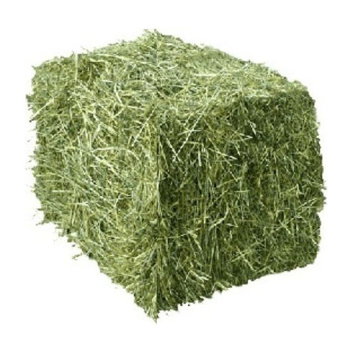 Heno De Alfalfa/avena/timothy Pasto 3 Kg Para Conejo Cuyo