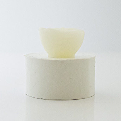 Molde Forma Silicone Coquinho Mini (coco)