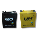 Bateria De Gel Tx200 Dm150 Dm250 Dm200 Honda Cargo 150