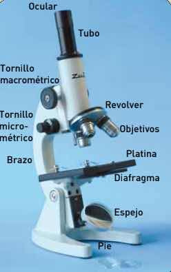 Microscopio Biológico Zuzy