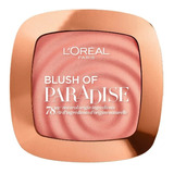 Loreal Rubor Compacto Paradise Terra Blush 