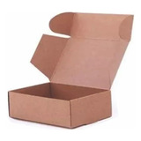  Caja Packaging Carton 20x15x5 Tapa Autoarmable X100u Color Marrón Claro