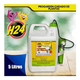 Insecticida H24 Cuidado Plantas Progarden Piretroide 5 Lts.