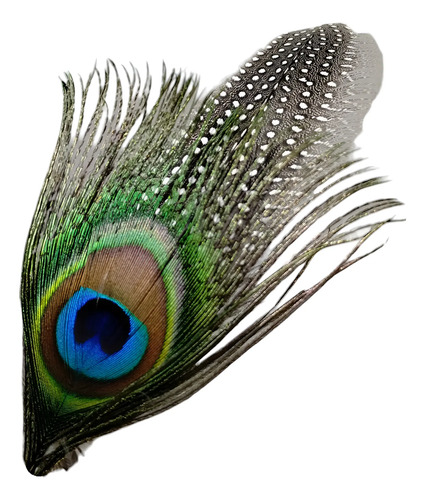 Pluma Fina Exótica De Pavo Real Con Águila Para Texana | Envío gratis