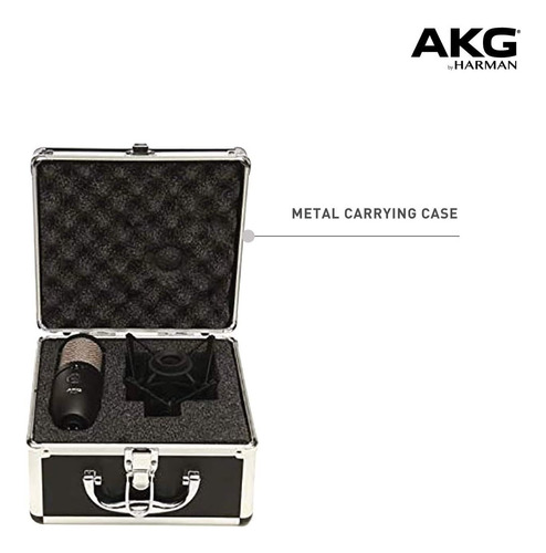 Akg P420 Micrófono Condensador De Alto Rendimiento Con Doble