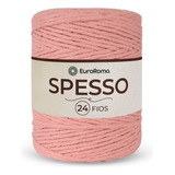 Barbante Euroroma Spesso 4/24 1 Kg 254 M Salmao