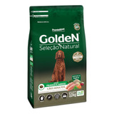 Golden Seleção Natural Cães Adultos Frango Arroz 3kg