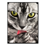 #787 - Cuadro Decorativo Vintage - Gato Cat Poster No Chapa