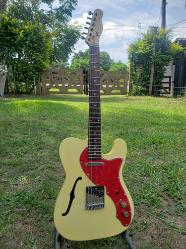 Guitarra Luthier Telecaster Thinline 69