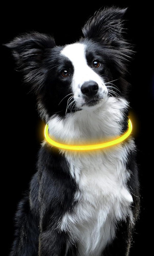 Collar Para Perro Con Luz Led, Diseño Cómodo, Resistente