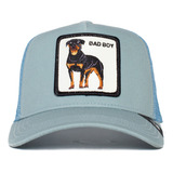 Gorra Goorin Bros Original Good Boy Sweet Chocolate Danes