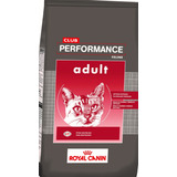 Royal Canin Performance Gato X 7.5 Kg Kangoo Pet