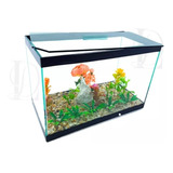 Aquário 35x17x22cm Decoração Fixa Beteira Vidro Peixe Beta