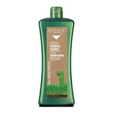 Shampoo Anticaspa Salerm Biokera 1lt  