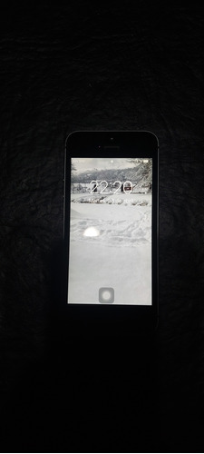 iPhone 5s Usado 