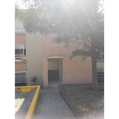Hermoso Departamento, Tranquilo E Iluminado, En Renta En Zona Esmeralda