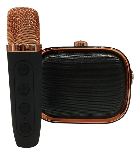 Parlante Bluetooth Karaoke Nr-138w