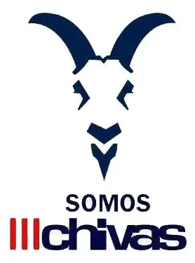 Sticker Para Coche Auto Carro Chivas Del Guadalajara M2