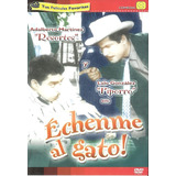 Echenme Al Gato| Dvd Película Nueva