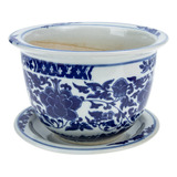 Maceta Porcelana Azul Blanca China Bonsái Mesa Cerámica Ofic