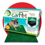 2 Tapetes Sanitarios Grass Entrenador Perro Green Carpet Med