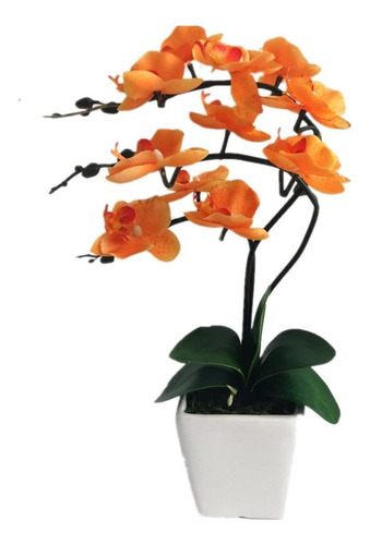 Yszl - Arreglo De Maceta Con Orquídea Phalaenopsis A