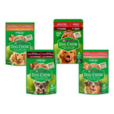 Dog Chow Adultos (pack 15unidades 100gr Sabores Surtidos).