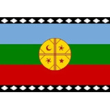  Bandera  Mapuche 90 X 150 - S0800