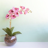 Arranjo De Orquídea Artificial Rosa No Vaso Transp Médio