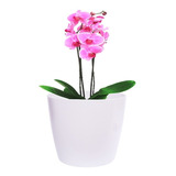 Vaso De Plantas Artificial Pequenos Para Decoração 30x25cm