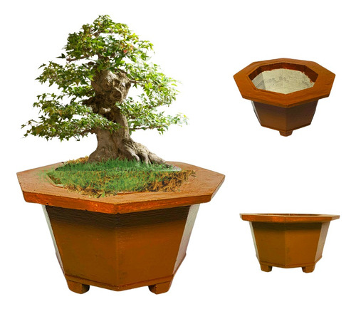 Molde Para Maceta Clasico Para Bonsai