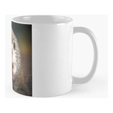 Taza Lindos Animales Erizo Calidad Premium