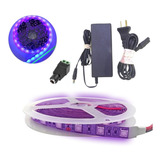 Kit Rollo Tira Led Uv Luz Negra + Conector + Fuente