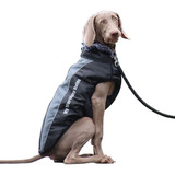 Chaleco Chamarra Impermeable Para Perros Medianos Y Grandes