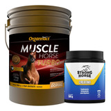 Kit Muscle Horse Turbo 15 Kg + Strong Horse Creatina 500 Gr