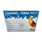 Kit Com 6 Placas De Identificação Luxo Canario Terra 527ct
