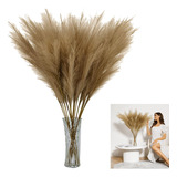 Rama Pampa Grass Artificial Cafe Espiga Decorativa Hogar Mnr