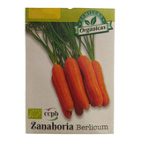 Semillas De Zanahoria (berlicum) X 50 Uds