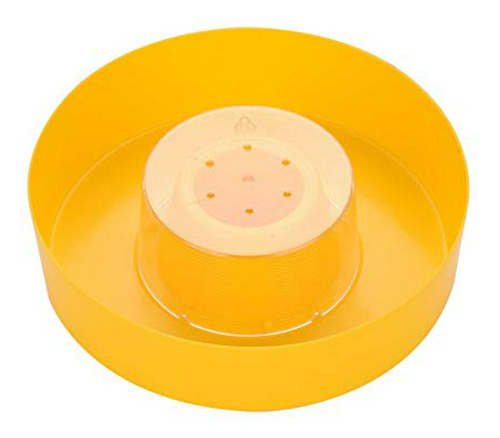 Apicultura - Bee Feeder 1/2 Gallon Plastic Rapid Bee Feeder 