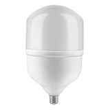 Lampara Foco Led Galponera Alta Potencia 100w E27 Luz Dia