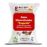 Sal Mineral Para El Ganado  Engorda Saco De 20kg