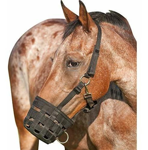 Cashel Caballo Que Pasta Bozal Halter (caballo, Negro).