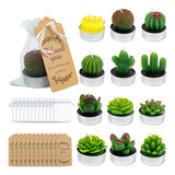 12pzs Velas Aromaticas Cactus Suculento Verdes Decorativas