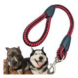 Correa Para Perro Mediano / Grande Corta Y Resistente 65cm