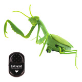 Juguete De Insectos Simulados Con Control Remoto Por Infrarr