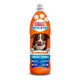 3pack Cloralex Mascota 950 Ml Con Cloro Elimina Heces Orina