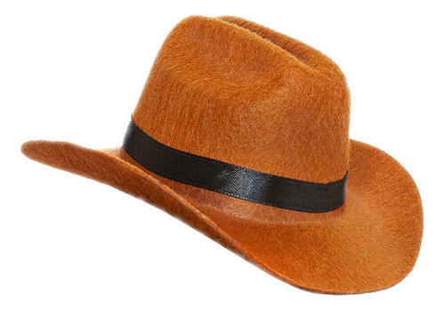 Pet Cat Dog Western Cowboy Hat