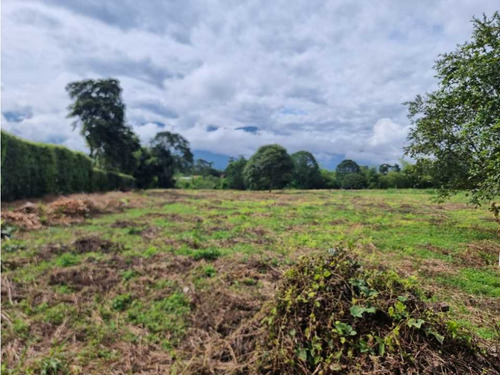 Lote Campestre Para La Venta Vía Caimo Aeropuerto - Imagen 2