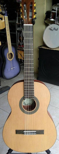 Guitarra Clásica Acústica Mate Sglc-162 